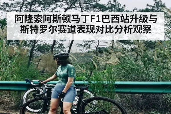 阿隆索阿斯顿马丁F1巴西站升级与斯特罗尔赛道表现对比分析观察